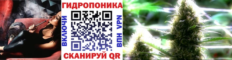 OMG ссылка  Архангельск  Шишки марихуана сатива  где можно купить  