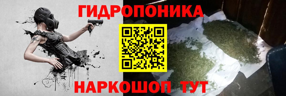 Шишки марихуана планчик Архангельск